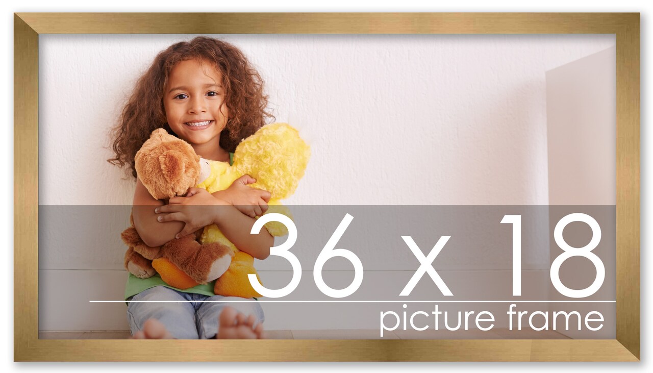 36x18 Solid Wood Picture Frame with UV-Resistant Acrylic & Acid-Free Backing, Available in 6 Finishes: Matte Black, Matte White, Metallic Bronze, Silver, Natural Wood Grain & Mahogany
